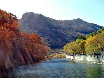 新澳天天开奖资料大全旅游团，莱芜新闻